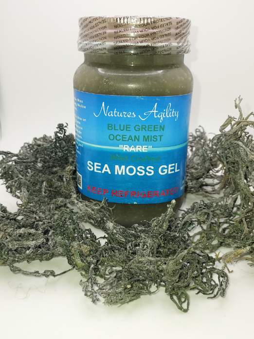 "Blue Green Ocean Mist" (RARE, Wild Crafted from the rocks) Green Sea Moss Gel