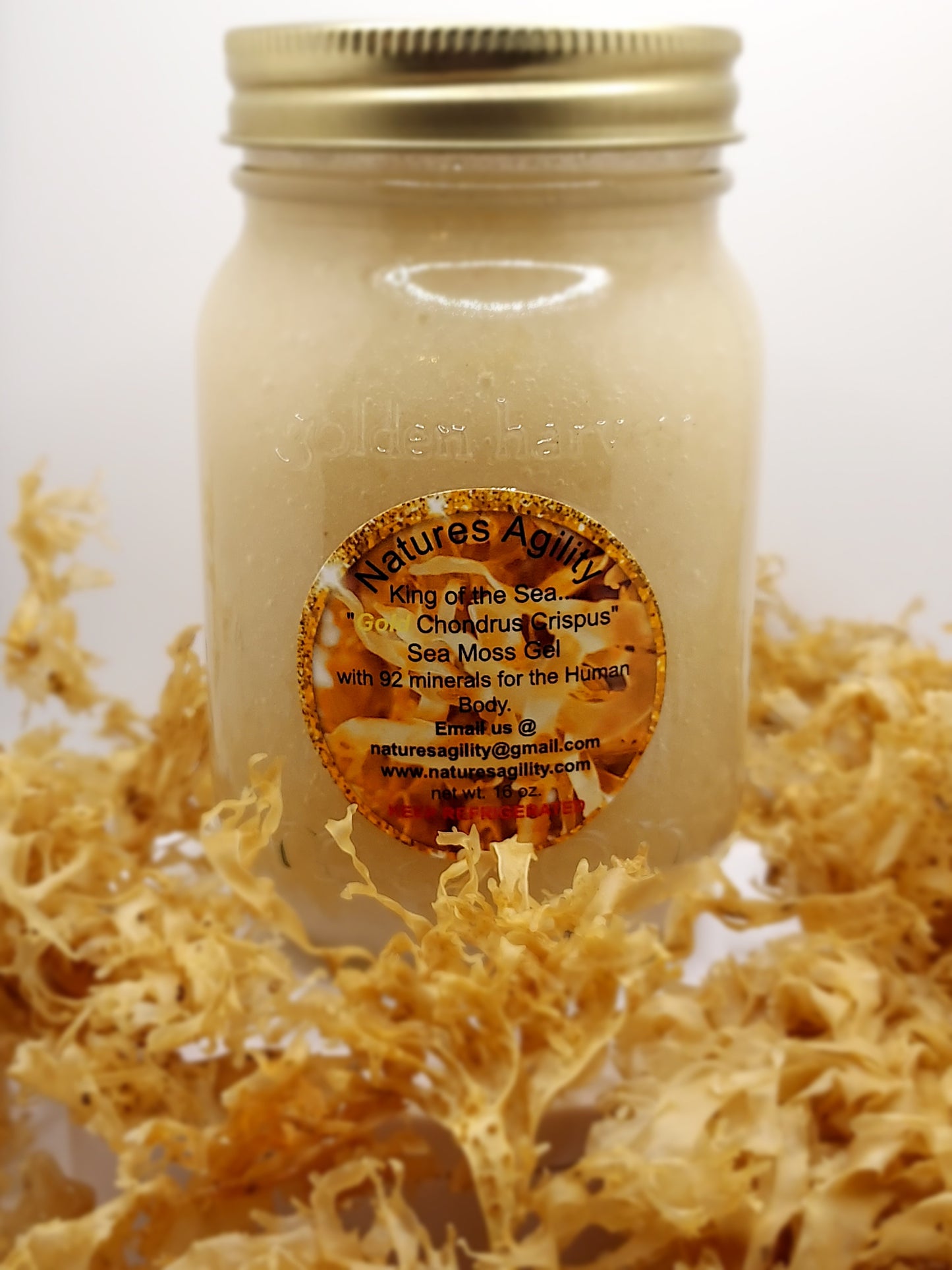 "Chondrus Crispus" (Wild Crafted from the rocks) Irish Sea Moss Gel